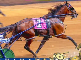 Play Harness Racing now!